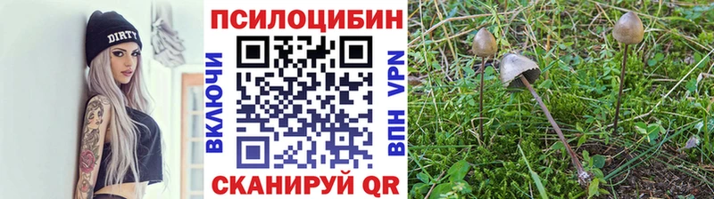 Галлюциногенные грибы ЛСД Волжск